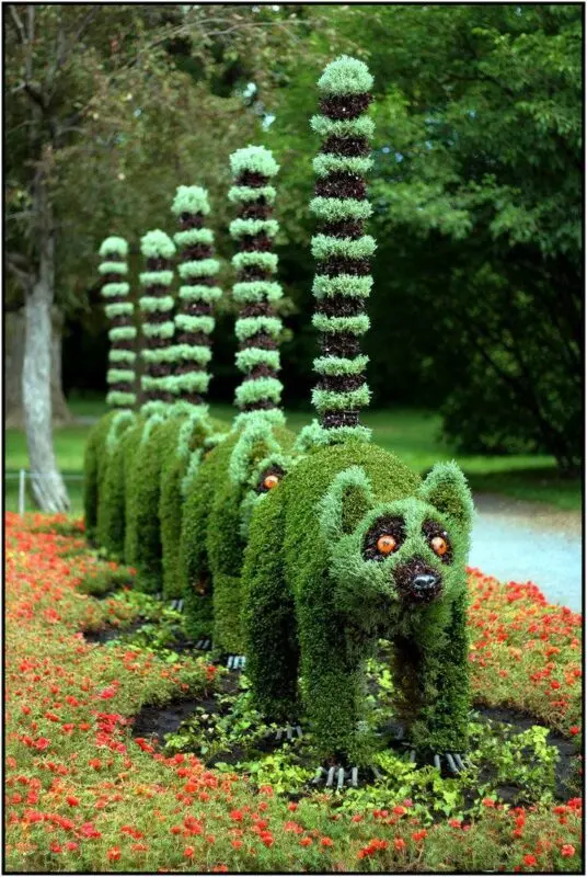 Topiary art for gardeners