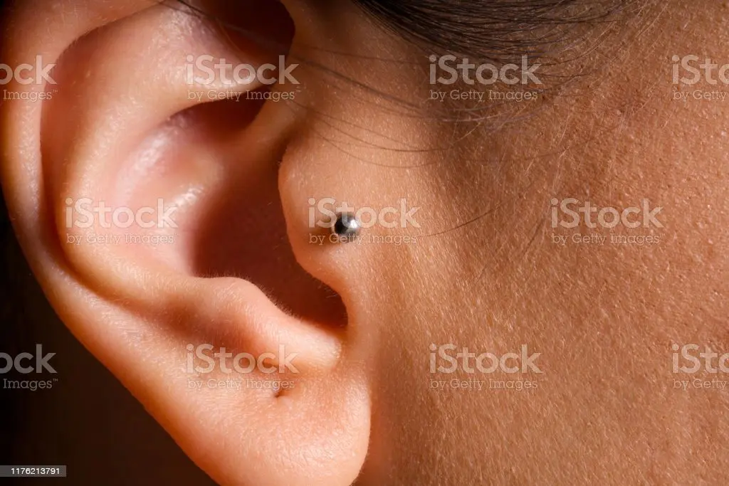 Tragus