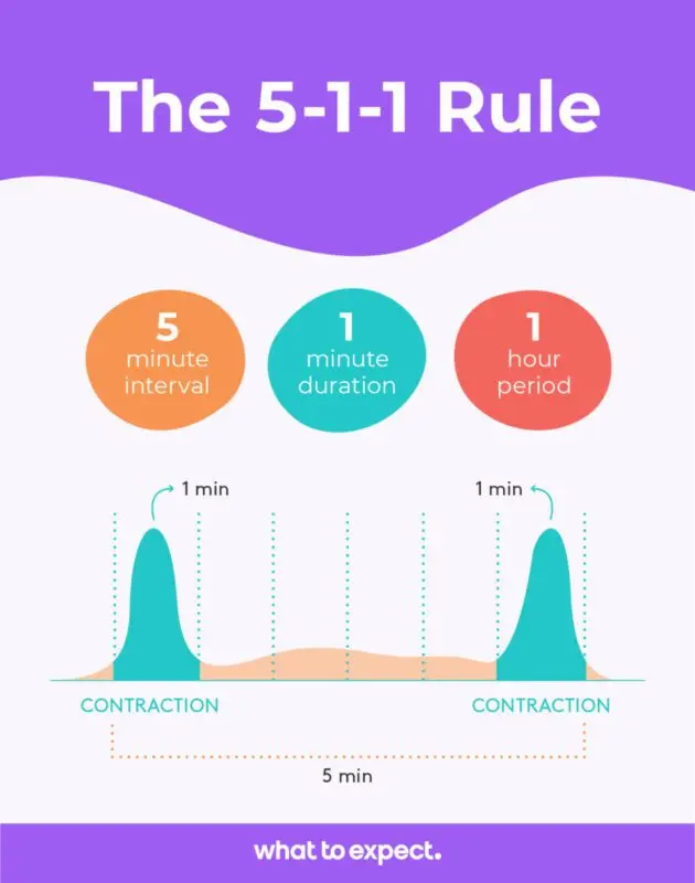 Training Contractions: What They Are Like And When Do They Start