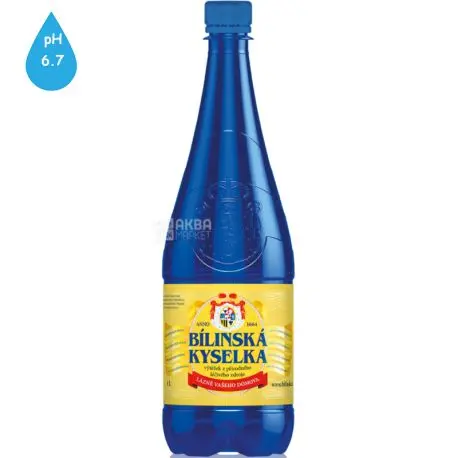 Treatment with water: mineral water Bilinskaya Kiselka, Zaychika bitter, Vincentka, Prolom, indications, recommendations, doctors&#8217; opinions, reviews, where to buy in St. Petersburg, how much to drink