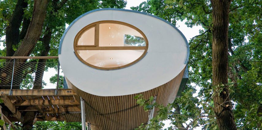 &#8220;Tree&#8221;: windows from simple to luxury