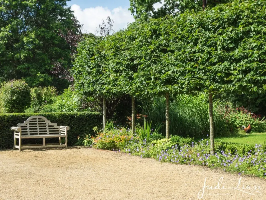 Trees in the garden