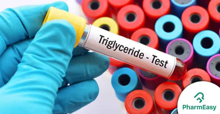 Triglycerides: all you need to know about these lipids