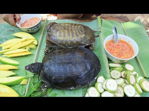 Turtle salad: how to cook? Video