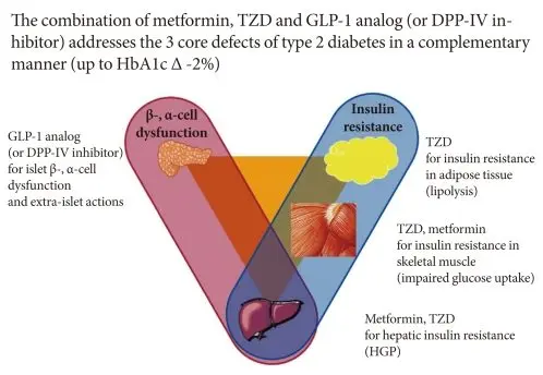 Type 2 diabetes &#8211; Complementary approaches