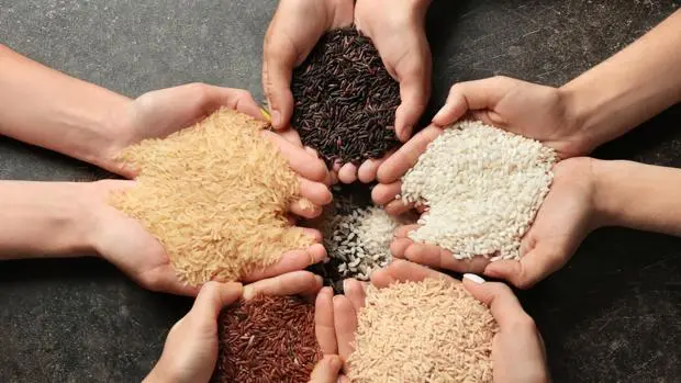 Types of rice: how they differ and which is the best