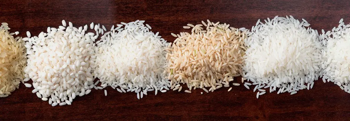 Types of rice: how they differ and which is the best