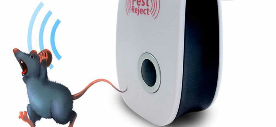 Ang ultrasonic rodent ug insect repeller