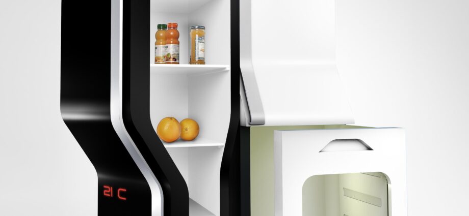 Dizajni i pazakontë i frigoriferit: foto