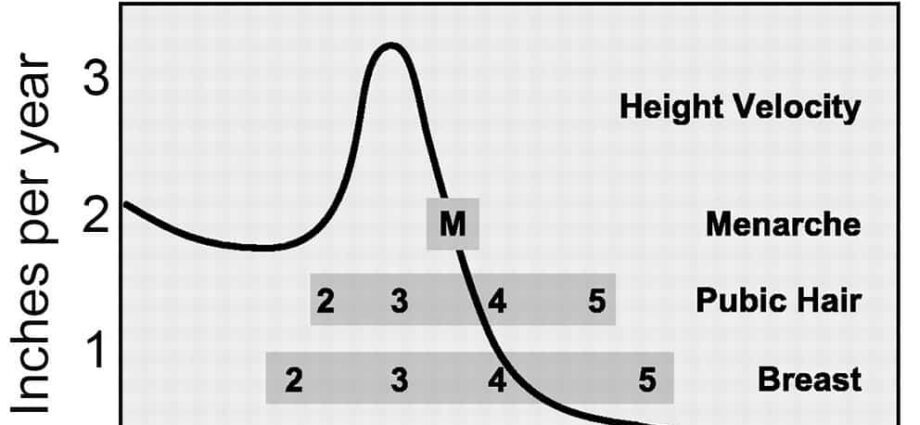 Up to what age girls grow up: height, height, when they stop