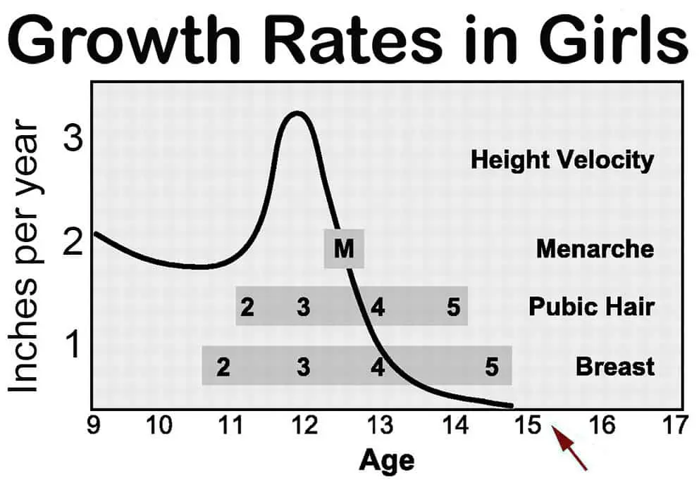 Up to what age girls grow up: height, height, when they stop