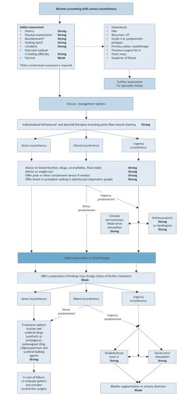 Urinary incontinence &#8211; Complementary approaches