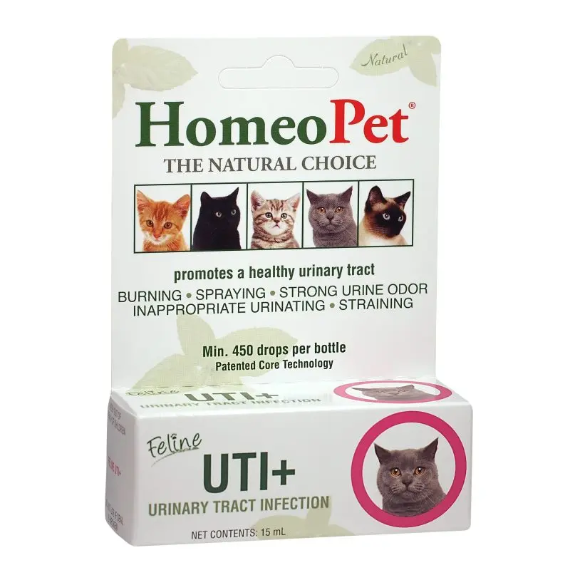 Urinary tract infection in cats: recognizing the symptoms