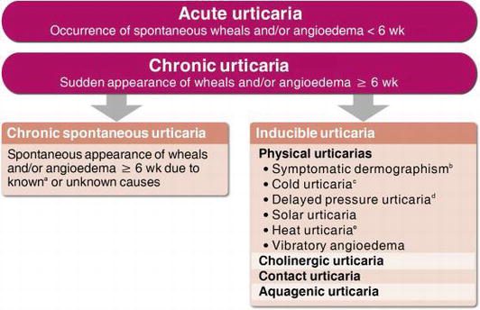 Urticaria: complementary approaches