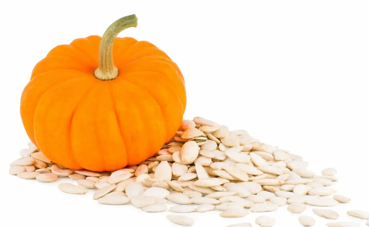 Useful properties of pumpkin seed oil. Video