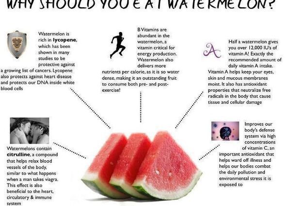 Useful properties of watermelon, how to lose weight on a watermelon diet