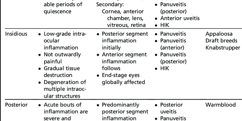 Uveitis: complementary approaches