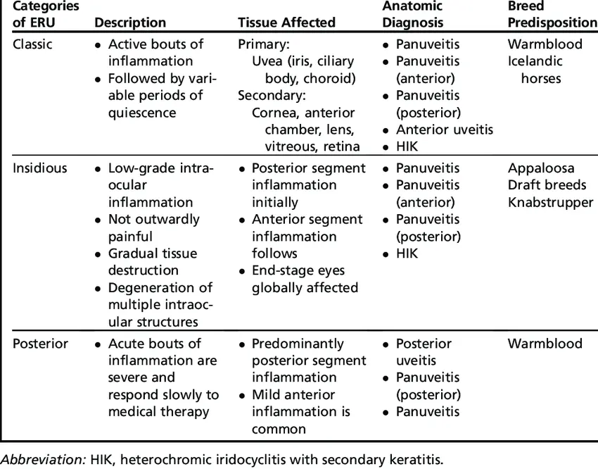 Uveitis: complementary approaches