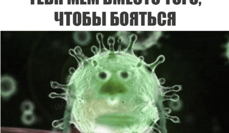 Vaccination has already sold out on memes: we have collected the most popular ones for you