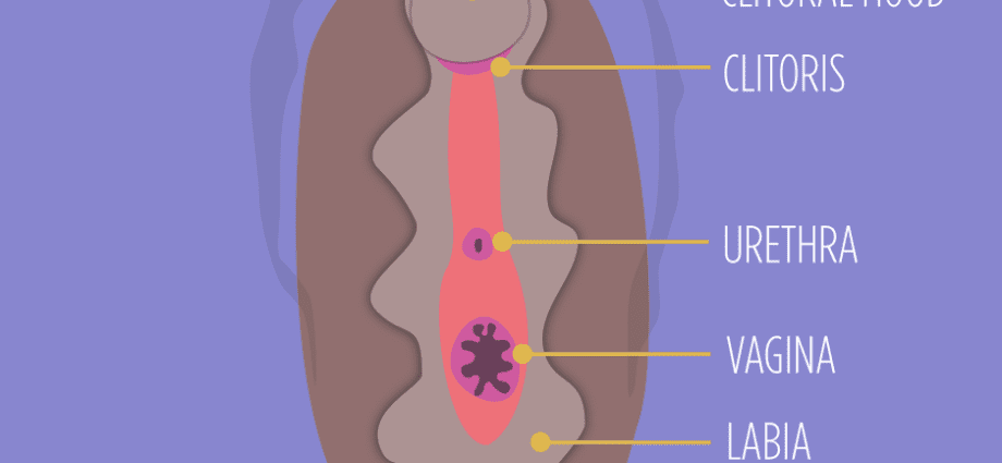 Vagina, vulva, klitoris: wat om te vermy?