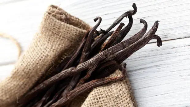 Vanilla flower: behind a luxurious spice