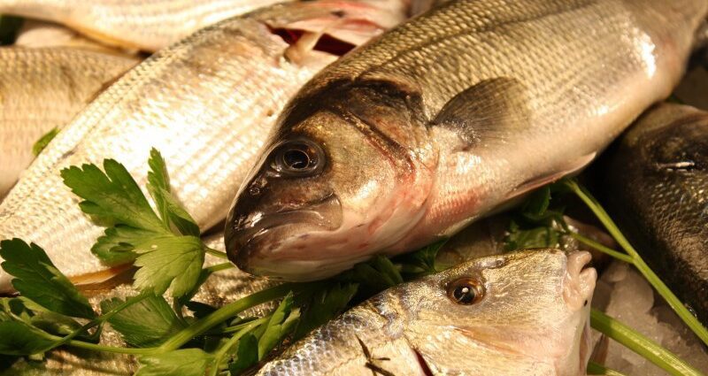 Very salty herring: how to soak?