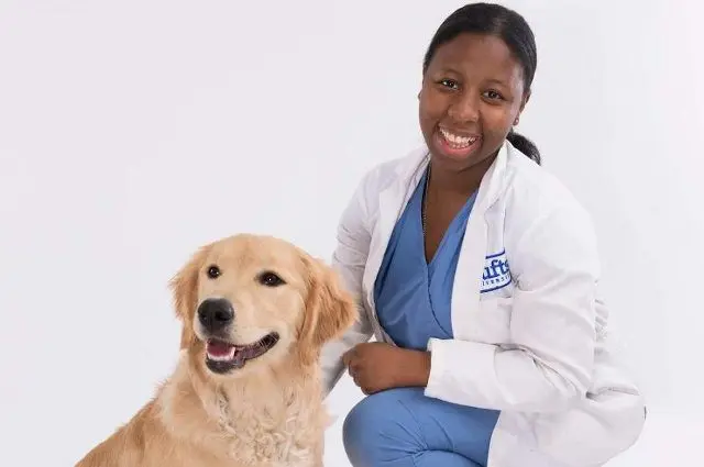 Veterinarians would like you to know these 15 things about your pet