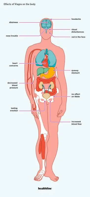 Viagra: what are the effects and how to take it?