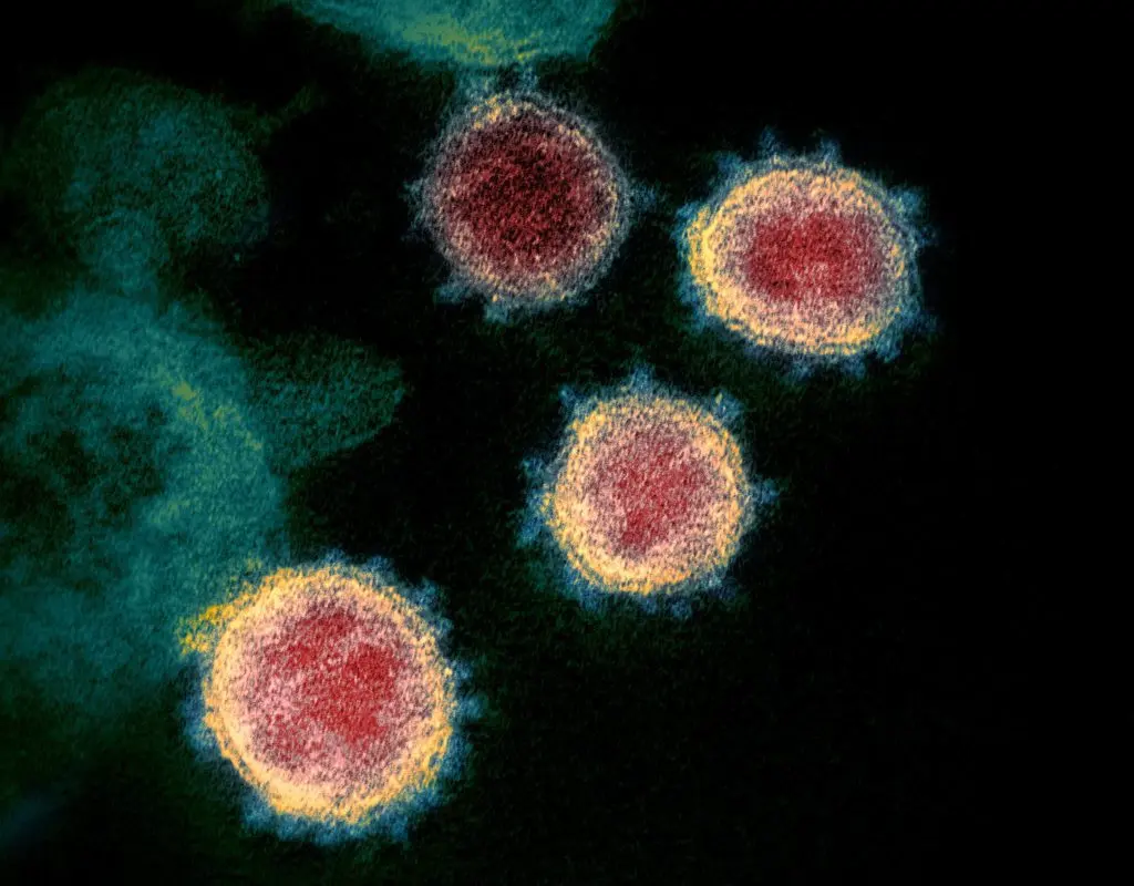 Viruses: why they prefer to attack us in winter &#8230;