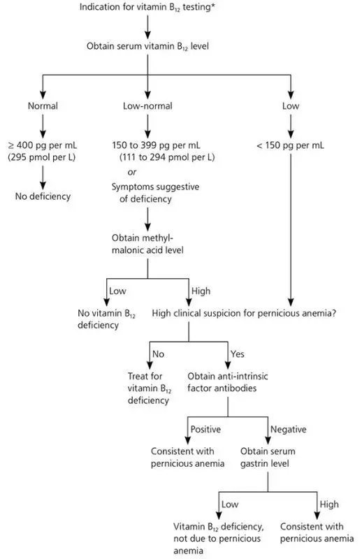 Vitamin B12 deficiency anemia