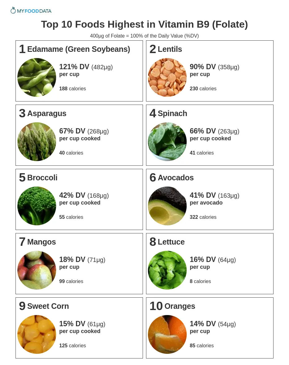 Vitamin B Or Folic Acid Level Healthy Food Near Me