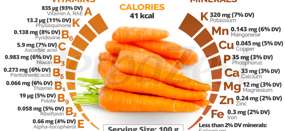 Vitamin carrots: variety description