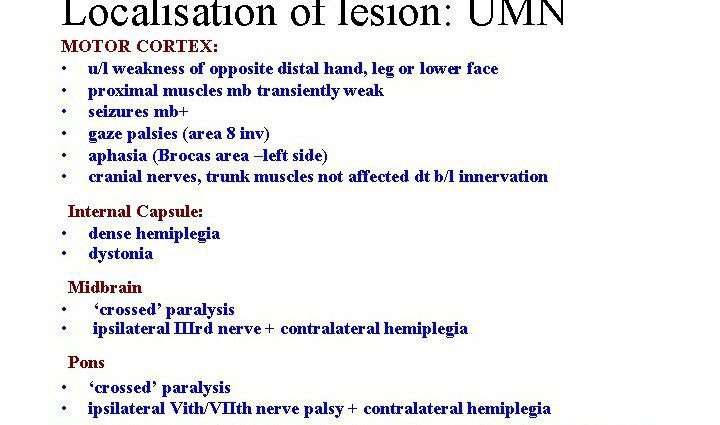 Weak point: lesion of the legs in diabetes mellitus