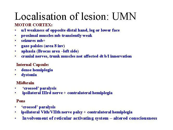 Weak point: lesion of the legs in diabetes mellitus