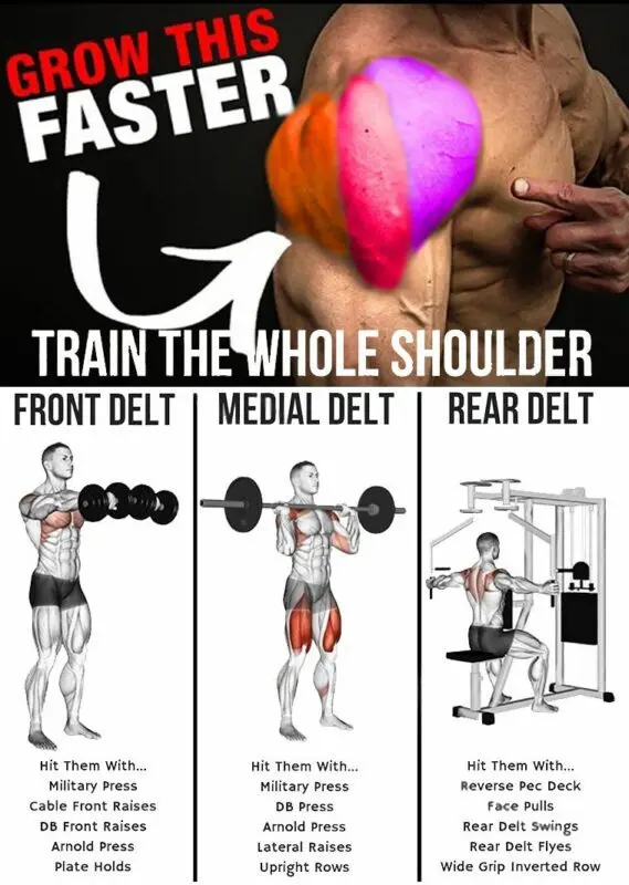 Weight training exercises to train the whole body with the Pin Twins