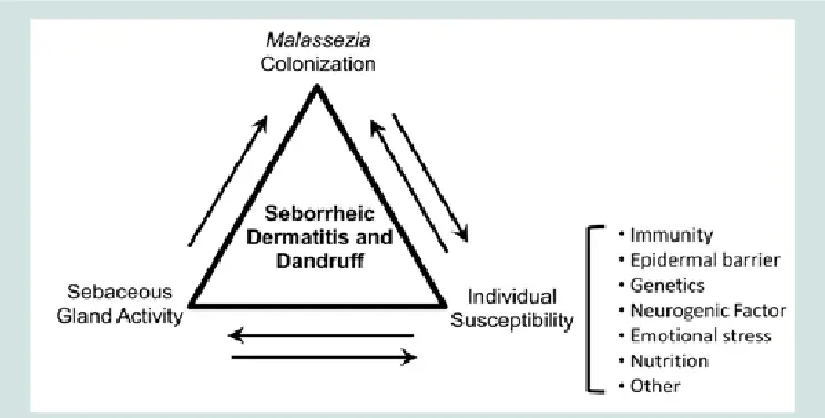 What are the risk factors for seborrheic dermatitis?