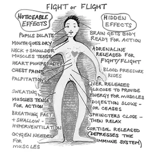 What are the symptoms of tachypsychia?