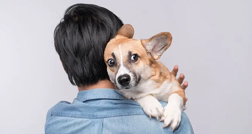 What can you tell about a man looking at his pet, how to recognize a man