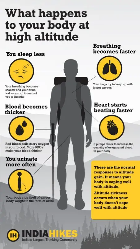 What Happens to the Body During High Intensity Training