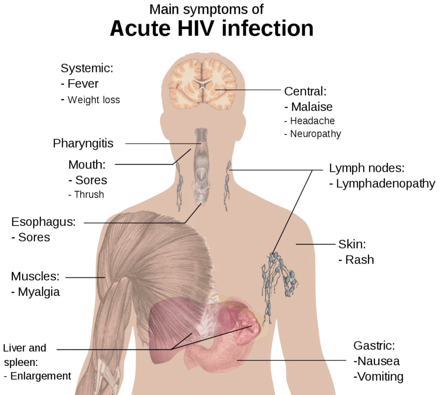 What in appearance indicates a disease: examples