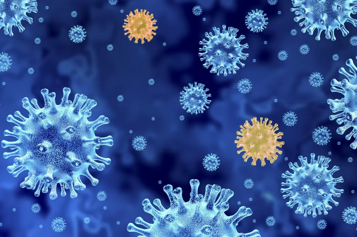What is known about the new lambda strain of the coronavirus, which is already being scared on the Internet