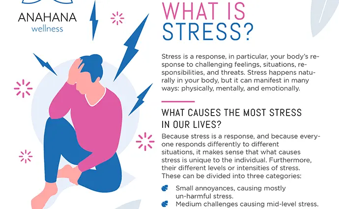 What is stress ? – Healthy Food Near Me