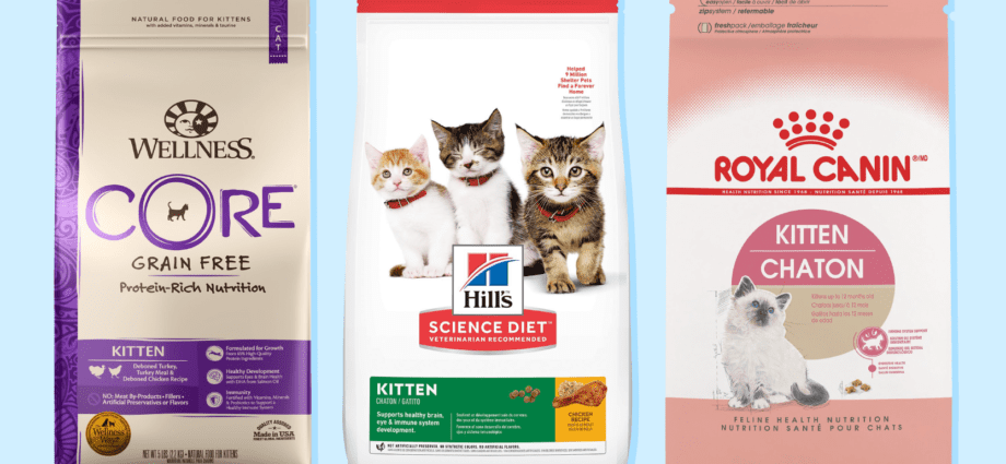 What is the best cat food