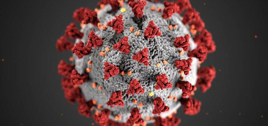 Hva er koronaviruset?