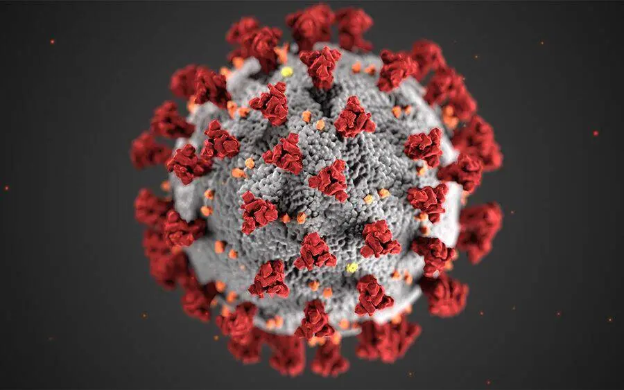 What is the coronavirus?