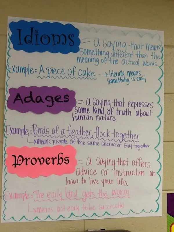 What is the difference between a proverb and a saying: briefly for children