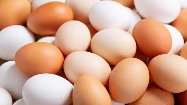 What is the difference between a white egg and one with a dark shell?