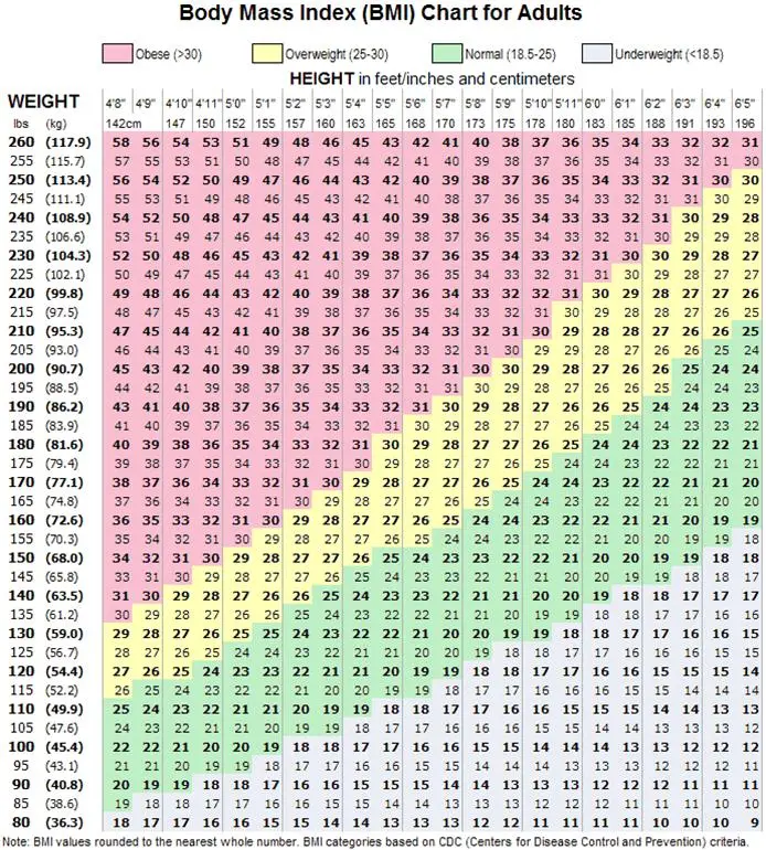 What is the ideal weight for your figure