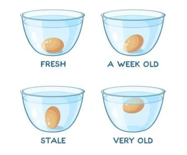 What is the shelf life of eggs in the refrigerator; shelf life of boiled eggs