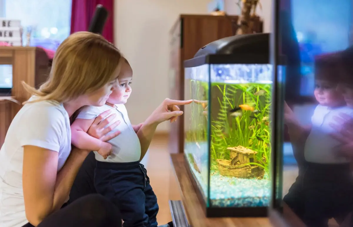What kind of pet is better to have in the apartment